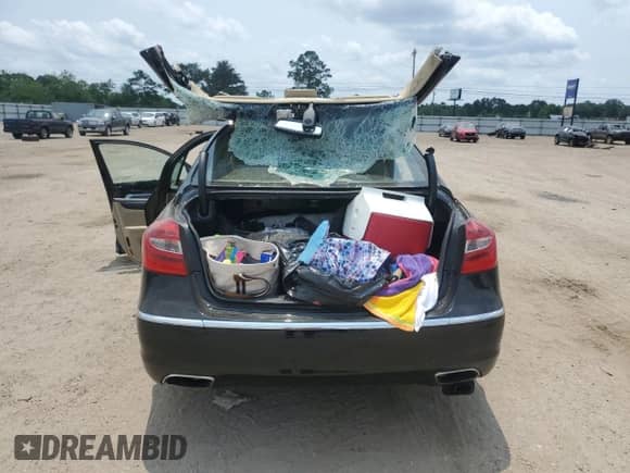 2013 Hyundai Genesis 3.8L with VIN KMHGC4DD5DU248698, listed as a Copart auction lot 54329284 with Not provided miles and Non repairable. Bid and sale history available at DreamBid. Image 6.