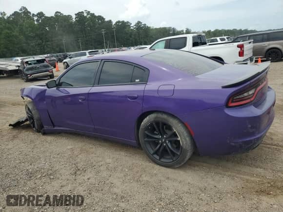 2018 Dodge Charger SXT with VIN 2C3CDXBG6JH284983, listed as a Copart auction lot 69311005 with Not provided miles and Salvage title. Bid and sale history available at DreamBid. Image 2.