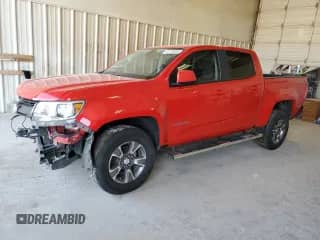 2019 Chevrolet Colorado 2WD Z71 with VIN 1GCGSDEN3K1195044, listed as a Copart auction lot 42739055 with 71,319 mi miles and Salvage title. Bid and sale history available at DreamBid. Image 1.