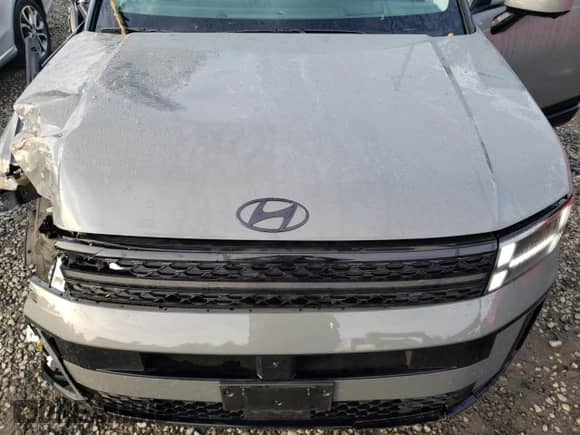 2024 Hyundai Santa Fe Calligraphy с VIN 5NMP5DG15RH001177, выставлен на аукционе Copart как лот 83118544 с пробегом 11 757 миль миль и Списание • Salvage title. История ставок и продаж доступна на DreamBid. Изображение 12.