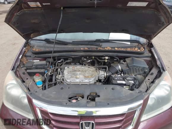 2008 Honda Odyssey EX-L with VIN 5FNRL38658B063312, listed as a IAAI auction lot 43532711 with 150,778 mi miles and . Bid and sale history available at DreamBid. Image 10.