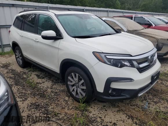 2019 Honda Pilot EX-L z VIN 5FNYF6H43KB045045, wystawiony jako Copart lot #69202665 z przebiegiem 82 139 mil mil oraz Szkoda całkowita • Salvage title. Historia ofert i sprzedaży dostępna na DreamBid. Obrazek 4.