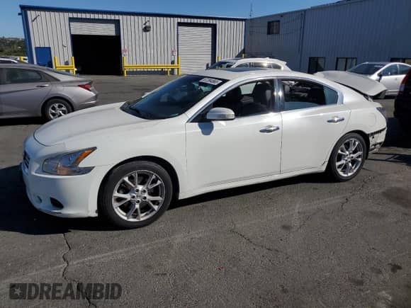 2013 Nissan Maxima SV with VIN 1N4AA5AP8DC840242, listed as a Copart auction lot 67394865 with 175,961 mi miles and Salvage title. Bid and sale history available at DreamBid. Image 1.