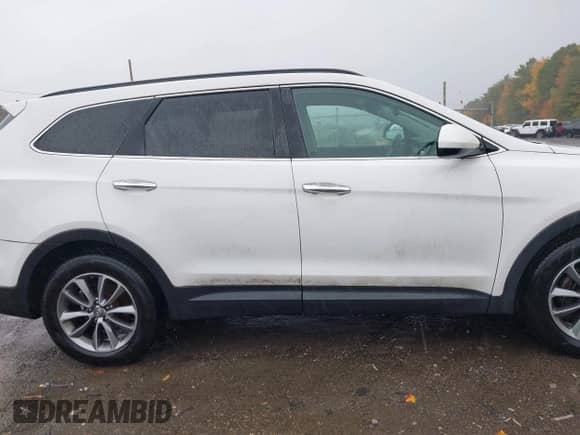 2017 Hyundai Santa Fe SE with VIN KM8SM4HF3HU182998, listed as a IAAI auction lot 43434656 with 115,094 mi miles and . Bid and sale history available at DreamBid. Image 13.