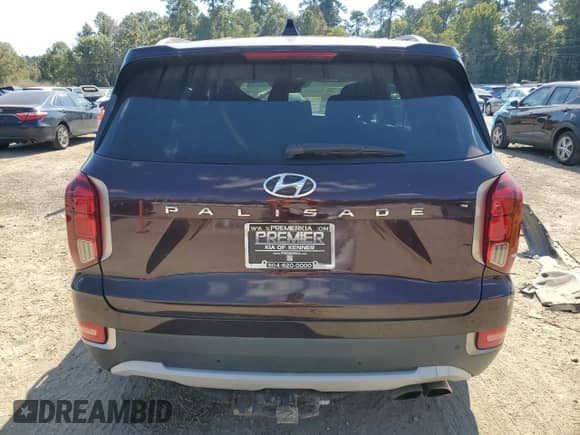 2020 Hyundai Palisade SEL with VIN KM8R44HE8LU034702, listed as a Copart auction lot 87097355 with Not provided miles and Clean title. Bid and sale history available at DreamBid. Image 6.