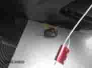 2019 Toyota Tundra SR с VIN 5TFRY5F16KX246087, выставлен на аукционе IAAI как лот 41650708 с пробегом 99 187 миль миль и . История ставок и продаж доступна на DreamBid. Изображение 11.