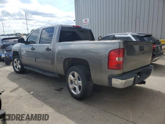 2009 Chevrolet Silverado 1500 LS with VIN 3GCEC13C99G100258, listed as a Copart auction lot 55993015 with 314,016 mi miles and Salvage title. Bid and sale history available at DreamBid. Image 2.