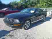 2007 Ford Mustang Deluxe with VIN 1ZVFT80N375337462, listed as a IAAI auction lot 43061969 with 319,872 mi miles and . Bid and sale history available at DreamBid. Image 2.