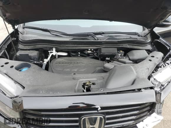 2024 Honda Passport Black Edition with VIN 5FNYF8H83RB016590, listed as a Copart auction lot 48287395 with 6,455 mi miles and Salvage title. Bid and sale history available at DreamBid. Image 14.