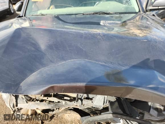 2020 Toyota Tacoma SR5 with VIN 3TMCZ5AN2LM294643, listed as a Copart auction lot 71500415 with Not provided miles and Clean title. Bid and sale history available at DreamBid. Image 11.