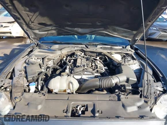 2023 Ford Mustang EcoBoost with VIN 1FATP8UH7P5111378, listed as a IAAI auction lot 41323947 with 45,246 mi miles and . Bid and sale history available at DreamBid. Image 10.