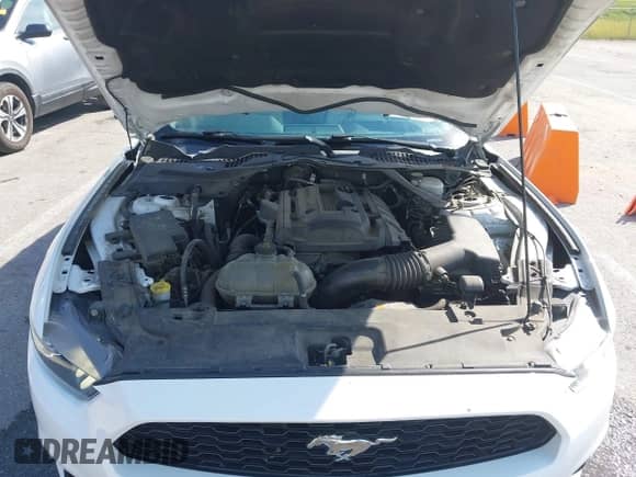 2016 Ford Mustang EcoBoost Premium with VIN 1FATP8UH9G5274761, listed as a IAAI auction lot 43351407 with 123,848 mi miles and . Bid and sale history available at DreamBid. Image 10.