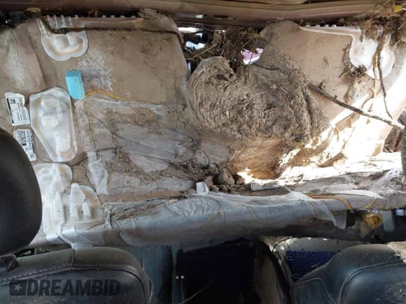 2015 Ford F-150 XLT с VIN 1FTEW1EG3FKE40968, выставлен на аукционе IAAI как лот 43345247 с пробегом Не указан миль и . История ставок и продаж доступна на DreamBid. Изображение 5.