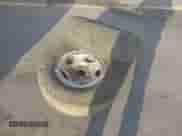 2002 Ford Explorer Limited с VIN 1FMZU75W72ZC95433, выставлен на аукционе IAAI как лот 43126507 с пробегом Не указан миль и . История ставок и продаж доступна на DreamBid. Изображение 12.