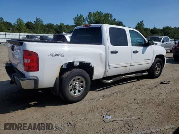 2010 Chevrolet Silverado 1500 LS with VIN 3GCRKREA4AG134661, listed as a Copart auction lot 68125095 with 186,219 mi miles and Clean title. Bid and sale history available at DreamBid. Image 3.