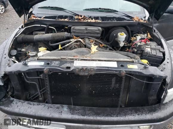 2001 Dodge 1500 с VIN 1B7HC13Y41J521428, выставлен на аукционе Copart как лот 89843255 с пробегом 148 682 миль миль и Списание • Salvage title. История ставок и продаж доступна на DreamBid. Изображение 11.