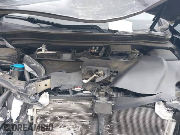 2017 Honda Pilot EX-L with VIN 5FNYF5H61HB018057, listed as a IAAI auction lot 42422940 with 117,111 mi miles and . Bid and sale history available at DreamBid. Image 10.