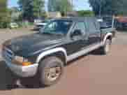 2002 Dodge Dakota SLT with VIN 1B7HG48N22S585368, listed as a Copart auction lot 80277665 with 165,121 mi miles and Clean title. Bid and sale history available at DreamBid. Image 2.