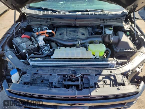 2022 Ford F-150 XLT with VIN 1FTFW1ED3NFB08580, listed as a Copart auction lot 84300815 with 67,768 mi miles and Salvage title. Bid and sale history available at DreamBid. Image 11.