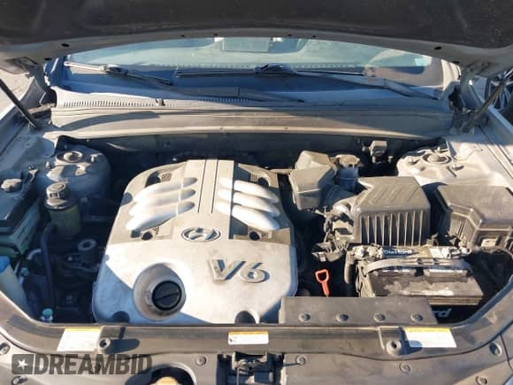 2007 Hyundai Santa Fe SE with VIN 5NMSH73E77H024940, listed as a IAAI auction lot 42703873 with 204,040 mi miles and . Bid and sale history available at DreamBid. Image 10.