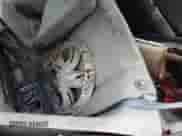 1990 Honda Civic with VIN 2HGED6341LH558159, listed as a Copart auction lot 84926234 with 1,554,163 mi miles and Salvage title. Bid and sale history available at DreamBid. Image 14.