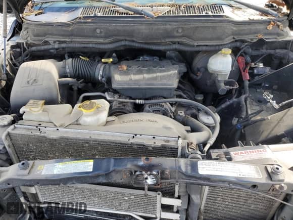 2008 Dodge 1500 SLT with VIN 1D7HU18N28J223925, listed as a Copart auction lot 81783595 with 239,679 mi miles and Clean title. Bid and sale history available at DreamBid. Image 11.