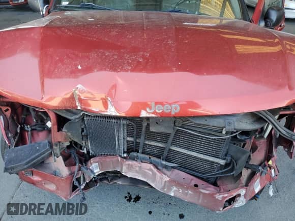 2002 Jeep Grand Cherokee Limited with VIN 1J4GW58N12C202691, listed as a Copart auction lot 64265975 with 118,480 mi miles and Salvage title. Bid and sale history available at DreamBid. Image 12.