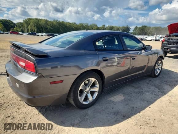 2013 Dodge Charger SE с VIN 2C3CDXBG2DH711189, выставлен на аукционе Copart как лот 85579405 с пробегом 181 504 миль миль и Списание • Salvage title. История ставок и продаж доступна на DreamBid. Изображение 3.