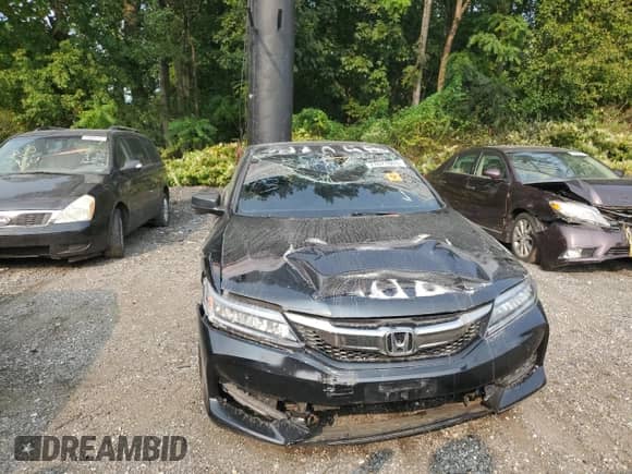 2016 Honda Accord Touring with VIN 1HGCT2B00GA002527, listed as a Copart auction lot 71671865 with Not provided miles and Salvage title. Bid and sale history available at DreamBid. Image 5.