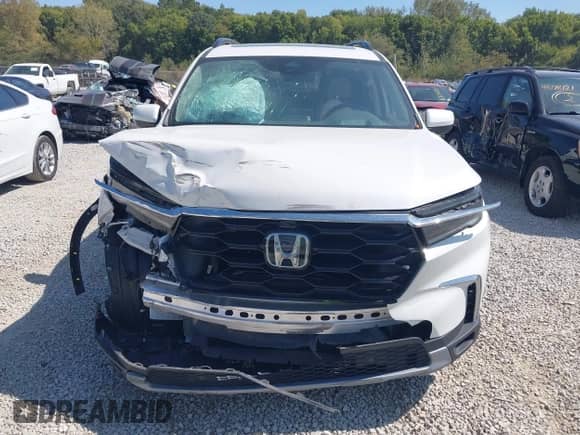 2024 Honda Pilot Elite with VIN 5FNYG1H85RB014506, listed as a IAAI auction lot 43202074 with 17,609 mi miles and . Bid and sale history available at DreamBid. Image 12.