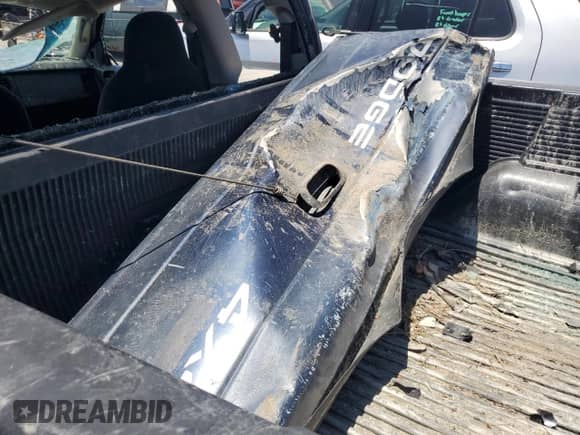 2001 Dodge Dakota with VIN 1B7GG22X61S203495, listed as a Copart auction lot 58153665 with Not provided miles and Salvage title. Bid and sale history available at DreamBid. Image 12.