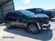2025 Jeep Compass Limited with VIN 3C4NJDCN5ST501442, listed as a IAAI auction lot 42595950 with 667 mi miles and . Bid and sale history available at DreamBid. Image 14.