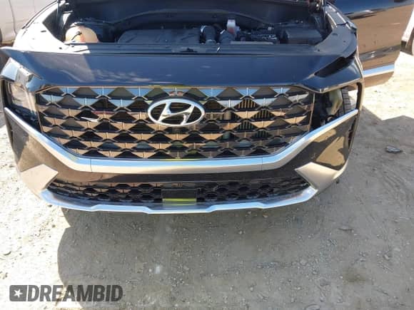 2022 Hyundai Santa Fe Calligraphy z VIN 5NMS5DAL0NH457943, wystawiony jako IAAI lot #43413533 z przebiegiem 107 539 mil mil oraz . Historia ofert i sprzedaży dostępna na DreamBid. Obrazek 6.