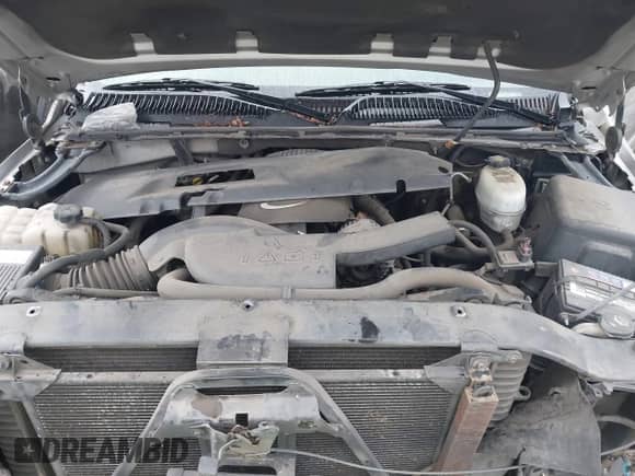 2005 Chevrolet Tahoe LS with VIN 1GNEC13T55J230697, listed as a IAAI auction lot 41493000 with 211,693 mi miles and . Bid and sale history available at DreamBid. Image 10.