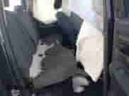 2019 Ram 1500 Express z VIN 1C6RR7FG0KS533796, wystawiony jako IAAI lot #41690178 z przebiegiem 91 504 mil mil oraz . Historia ofert i sprzedaży dostępna na DreamBid. Obrazek 8.