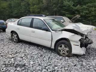 2005 Chevrolet Malibu Classic с VIN 1G1ND52F95M231691, выставлен на аукционе Copart как лот 43047863 с пробегом Не указан миль и Списание • Salvage title. История ставок и продаж доступна на DreamBid. Изображение 4.