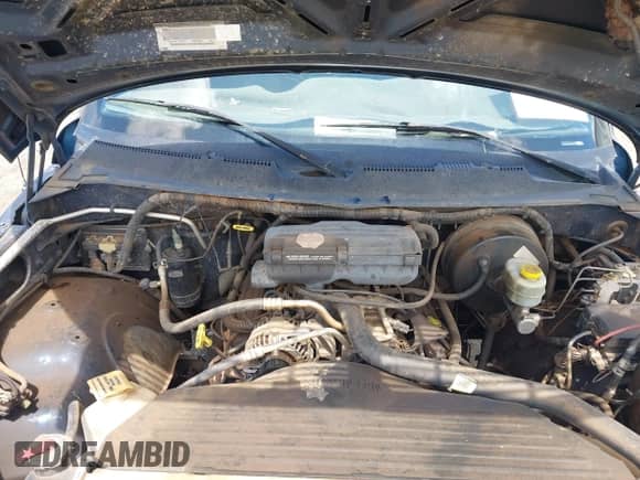 2000 Dodge 1500 с VIN 3B7HC13Y9YG100624, выставлен на аукционе IAAI как лот 42375679 с пробегом 234 353 миль миль и . История ставок и продаж доступна на DreamBid. Изображение 10.