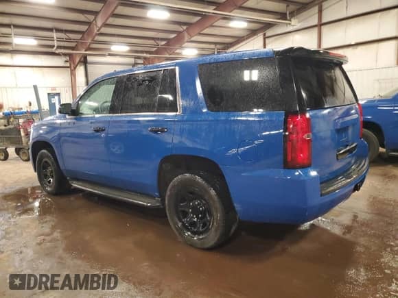 2017 Chevrolet Tahoe Commercial with VIN 1GNSKDEC6HR309810, listed as a Copart auction lot 87086735 with 114,013 mi miles and Clean title. Bid and sale history available at DreamBid. Image 2.