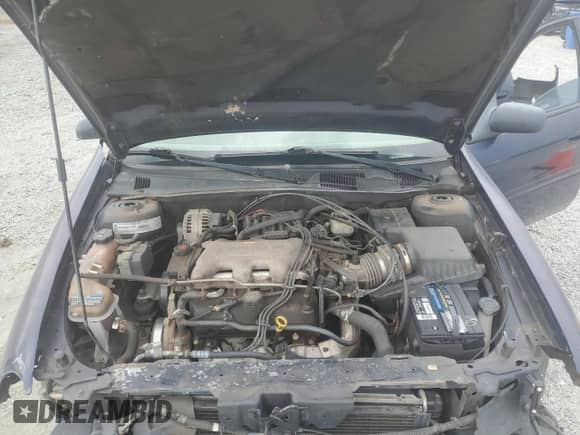 2001 Chevrolet Malibu с VIN 1G1ND52J516173050, выставлен на аукционе Copart как лот 66370295 с пробегом Не указан миль и Списание • Salvage title. История ставок и продаж доступна на DreamBid. Изображение 11.