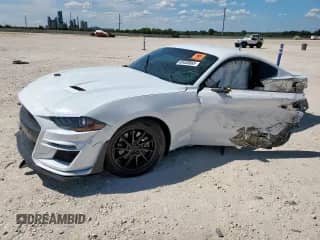 2019 Ford Mustang EcoBoost z VIN 1FA6P8TH2K5192524, wystawiony jako Copart lot #69408665 z przebiegiem 83 585 mil mil oraz Szkoda całkowita • Salvage title. Historia ofert i sprzedaży dostępna na DreamBid. Obrazek 1.