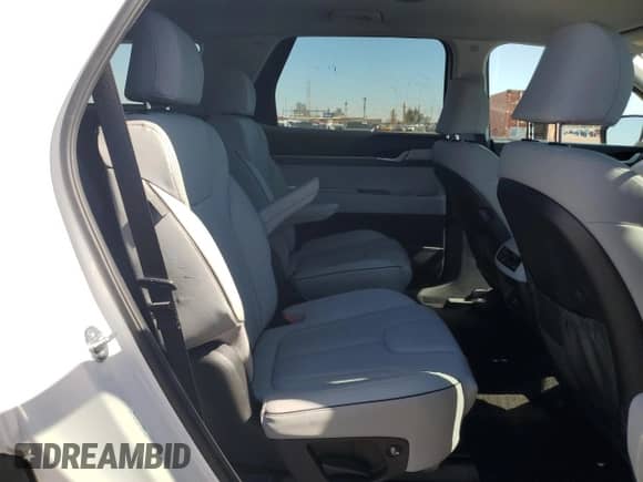 2025 Hyundai Palisade SEL with VIN KM8R24GE4SU874367, listed as a Copart auction lot 87223385 with 15,863 mi miles and Salvage title. Bid and sale history available at DreamBid. Image 11.
