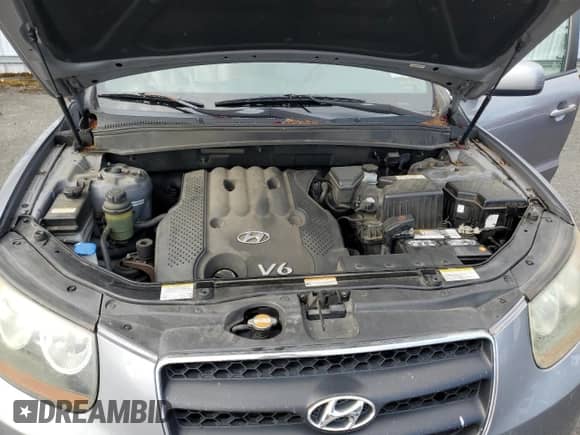 2007 Hyundai Santa Fe GLS z VIN 5NMSG73D97H082400, wystawiony jako Copart lot #85199055 z przebiegiem 128 006 mil mil oraz Szkoda całkowita • Salvage title. Historia ofert i sprzedaży dostępna na DreamBid. Obrazek 12.