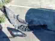 2021 Toyota Camry SE Nightshade z VIN 4T1G11AK4MU440265, wystawiony jako IAAI lot #41535749 z przebiegiem 52 168 mil mil oraz . Historia ofert i sprzedaży dostępna na DreamBid. Obrazek 11.