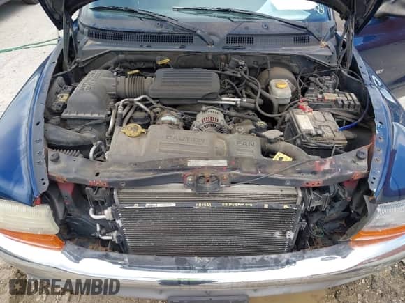 2000 Dodge Durango with VIN 1B4HS28N9YF144001, listed as a IAAI auction lot 42667472 with Not provided miles and . Bid and sale history available at DreamBid. Image 10.