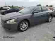 2013 Nissan Maxima SV with VIN 1N4AA5AP2DC821816, listed as a Copart auction lot 81302975 with 187,414 mi miles and Clean title. Bid and sale history available at DreamBid. Image 1.