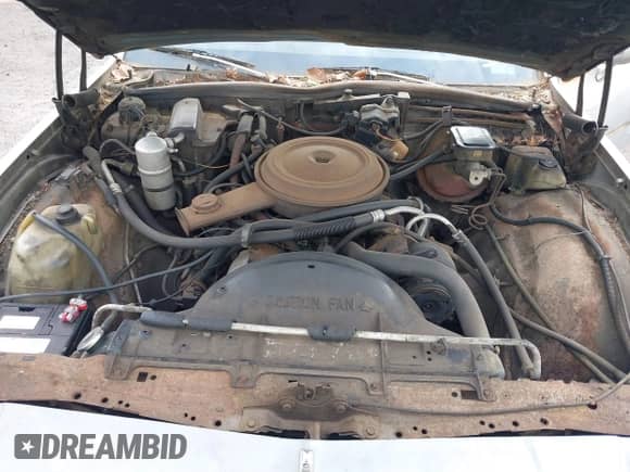 1984 Chevrolet Caprice с VIN 2G1AN35H3E9181574, выставлен на аукционе IAAI как лот 42374841 с пробегом 109 435 миль миль и . История ставок и продаж доступна на DreamBid. Изображение 10.