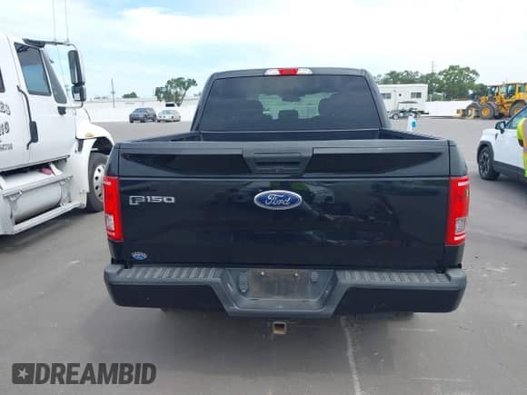 2017 Ford F-150 XL z VIN 1FTEW1CP6HKE06089, wystawiony jako IAAI lot #43189116 z przebiegiem 217 398 mil mil oraz . Historia ofert i sprzedaży dostępna na DreamBid. Obrazek 16.