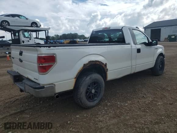 2013 Ford F-150 XL with VIN 1FTMF1CM7DKD22584, listed as a Copart auction lot 81708305 with 303,985 mi miles and Salvage title. Bid and sale history available at DreamBid. Image 3.