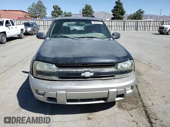 2002 Chevrolet TrailBlazer LTZ z VIN 1GNDS13S622433335, wystawiony jako Copart lot #50054935 z przebiegiem 308 128 mil mil oraz Szkoda całkowita • Salvage title. Historia ofert i sprzedaży dostępna na DreamBid. Obrazek 12.