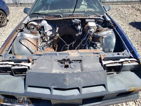 1982 Chevrolet Camaro with VIN 1G1AS87H0CL177359, listed as a Copart auction lot 67618414 with Not provided miles and Salvage title. Bid and sale history available at DreamBid. Image 11.